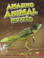 Amazing Animal Movers