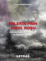 Pelerin Prin Iadul Rosu