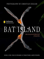 Bat Island: A Rare Journey into the Hidden World of Tropical Bats