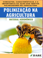 Polinização Na Agricultura