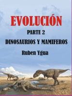 Dinosaurios Y Mamíferos