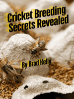 Cricket Breeding Secrets Revealed