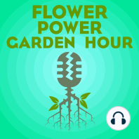 Flower Power Garden Hour 165:  San Francisco Conservatory of Flowers, with Kristen Natoli & Sarah Sawtelle