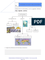 Actividades Ecosistemas-El Medio