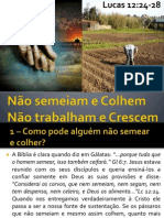 Não Semeiam e Colhem, Não Trabalham e Crescem - Lucas 12:24-28