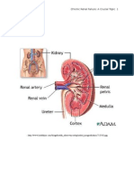 Chronic Renal Failure