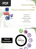 Nepal Telcomm Services