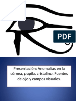 Ojo y Vision Semiologia