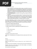 Apuntes y Resumenes de Derecho Constitucional