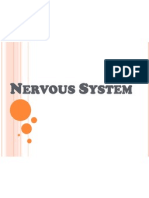 Nervous System