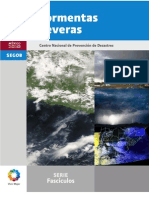 LIBRO Tormentas Severas