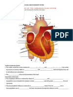 Scorebuilders Cardiac Review