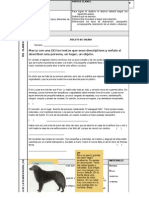 Planificación 29.05.2012 Texto Descriptivo 1