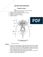 Kidney Anatomy and Physiology