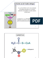 Cycle de Krebs - Biochimie Métabolique - Hader Haidous