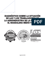 Informe Diagnostico Situación Laboral Magdalena Medio y Meta