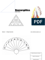 Curso de Bioenergetica-Módulo 2