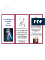 Divine Mercy Novena and Chaplet: First Day