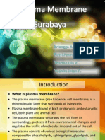 Plasma Membrane