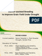 Marker-Assisted Breeding To Improve Grain Yield Under Drought