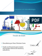 Tinciones en Microbiologia