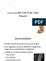 Defectos Del Tubo Neural