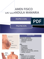 EXAMEN FISICO Glandula Mamaria