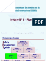 Sms m05 Riesgos 08-11 (PS)