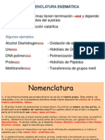 Nomenclatura Enzimática