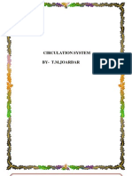 Circulation of Boiler