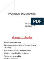 Physiology of Micturition