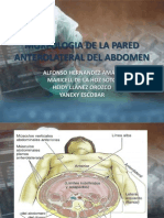 Pared Anterolateral Del Abdomen