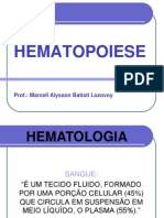 Aula 1 Hematopoiese