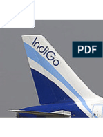 Marketing Plan of Indigo Airlines