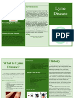 Lyme Disease Brochure Template