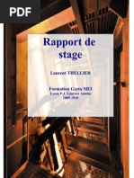 Rapport Thellier Laurent