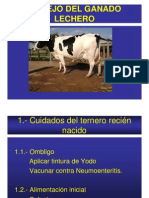 Manejo Del Ganado Lechero