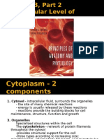 BIO 201 Chapter 3, Part 2 Lecture