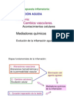 Fases de La Inflamacion