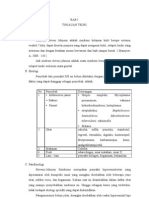 Askep Steven Johnson Syndrome