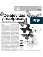 De Mariposas y Alevillas