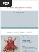 Radio Anatomie Cervicale