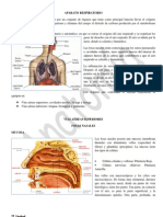 Anatomia 