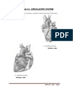 Pre - Lab # 4 - Circulatory System: Label The Diagrams of Anterior, Posterior and Coronal View of The Heart