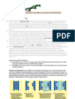 Chapter 5: Genetic Control of Protein Structure and Function