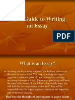 Basic Guide To Writing An Essay