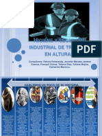 Higiene y Seguridad Industrial