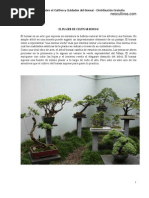 MANUAL y TÉCNICAS DE CULTIVO DEL BONSAI