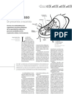 De Procariota A Eucariota