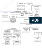 Pathophysiology of DM